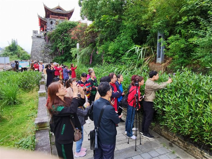 1652967181506333.jpg 1.jpg